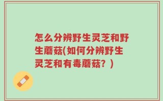 怎么分辨野生灵芝和野生蘑菇(如何分辨野生灵芝和有毒蘑菇？)