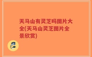 天马山有灵芝吗图片大全(天马山灵芝图片全景欣赏)