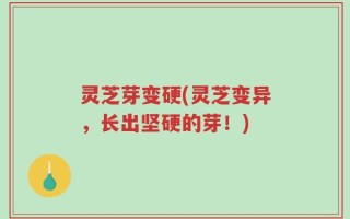灵芝芽变硬(灵芝变异，长出坚硬的芽！)