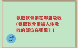 氨糖软骨素在哪里吸收(氨糖软骨素被人体吸收的部位在哪里？)