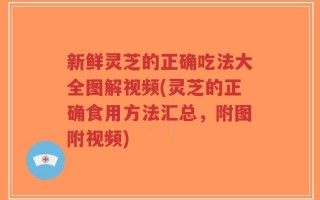 新鲜灵芝的正确吃法大全图解视频(灵芝的正确食用方法汇总，附图附视频)