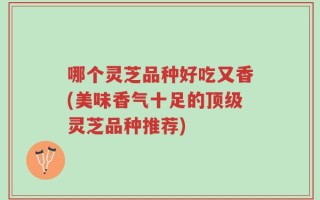 哪个灵芝品种好吃又香(美味香气十足的顶级灵芝品种推荐)