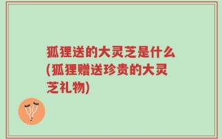 狐狸送的大灵芝是什么(狐狸赠送珍贵的大灵芝礼物)