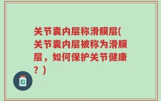 关节囊内层称滑膜层(关节囊内层被称为滑膜层，如何保护关节健康？)