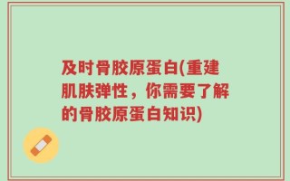 及时骨胶原蛋白(重建肌肤弹性，你需要了解的骨胶原蛋白知识)