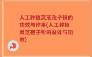 人工种植灵芝孢子粉的功效与作用(人工种植灵芝孢子粉的益处与功效)