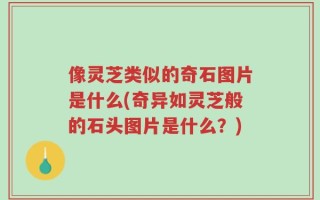 像灵芝类似的奇石图片是什么(奇异如灵芝般的石头图片是什么？)