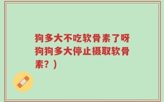 狗多大不吃软骨素了呀狗狗多大停止摄取软骨素？)