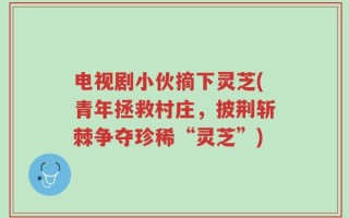 电视剧小伙摘下灵芝(青年拯救村庄，披荆斩棘争夺珍稀“灵芝”)