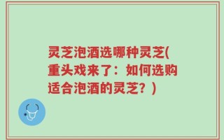 灵芝泡酒选哪种灵芝(重头戏来了：如何选购适合泡酒的灵芝？)