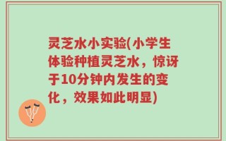 灵芝水小实验(小学生体验种植灵芝水，惊讶于10分钟内发生的变化，效果如此明显)