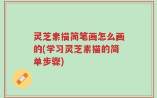 灵芝素描简笔画怎么画的(学习灵芝素描的简单步骤)