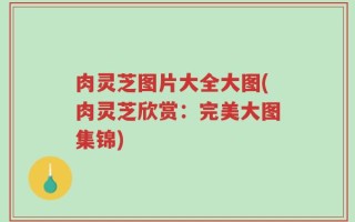 肉灵芝图片大全大图(肉灵芝欣赏：完美大图集锦)