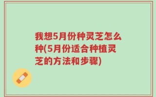 我想5月份种灵芝怎么种(5月份适合种植灵芝的方法和步骤)