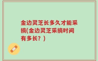 金边灵芝长多久才能采摘(金边灵芝采摘时间有多长？)