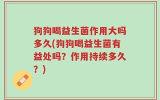 狗狗喝益生菌作用大吗多久(狗狗喝益生菌有益处吗？作用持续多久？)