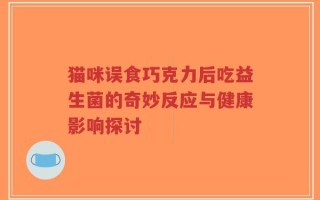 猫咪误食巧克力后吃益生菌的奇妙反应与健康影响探讨