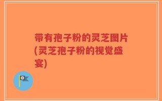 带有孢子粉的灵芝图片(灵芝孢子粉的视觉盛宴)