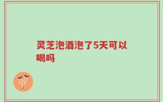 灵芝泡酒泡了5天可以喝吗