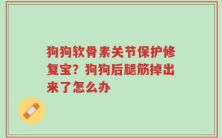 狗狗软骨素关节保护修复宝？狗狗后腿筋掉出来了怎么办