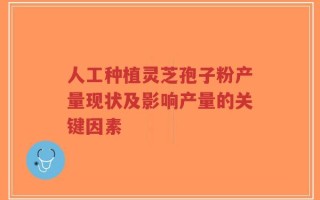人工种植灵芝孢子粉产量现状及影响产量的关键因素