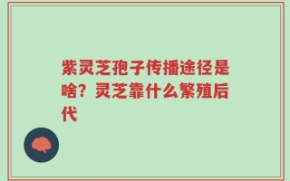 紫灵芝孢子传播途径是啥？灵芝靠什么繁殖后代