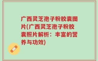 广西灵芝孢子粉胶囊图片(广西灵芝孢子粉胶囊照片解析：丰富的营养与功效)