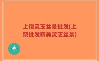 上饶灵芝盆景批发(上饶批发精美灵芝盆景)