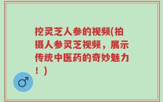 挖灵芝人参的视频(拍摄人参灵芝视频，展示传统中医药的奇妙魅力！)