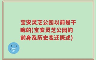 宝安灵芝公园以前是干嘛的(宝安灵芝公园的前身及历史变迁概述)
