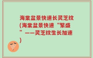 海棠盆景快速长灵芝纹(海棠盆景快速“繁盛”——灵芝纹生长加速)