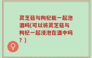 灵芝菇与枸杞能一起泡酒吗(可以将灵芝菇与枸杞一起浸泡在酒中吗？)