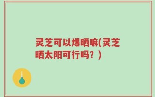灵芝可以爆晒嘛(灵芝晒太阳可行吗？)