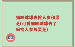 猫咪球球去挖人参和灵芝(可爱猫咪球球去了采摘人参与灵芝)