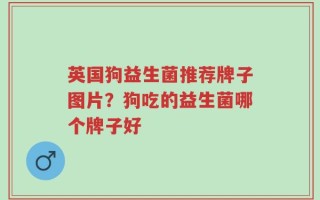 英国狗益生菌推荐牌子图片？狗吃的益生菌哪个牌子好
