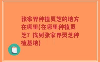 张家界种植灵芝的地方在哪里(在哪里种植灵芝？找到张家界灵芝种植基地)