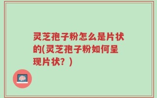 灵芝孢子粉怎么是片状的(灵芝孢子粉如何呈现片状？)