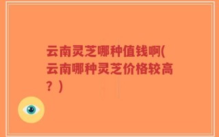 云南灵芝哪种值钱啊(云南哪种灵芝价格较高？)