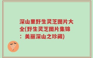 深山里野生灵芝图片大全(野生灵芝图片集锦：美丽深山之珍藏)
