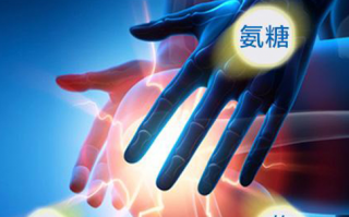 氨糖的主要作用有哪些？如何更好地发挥作用？