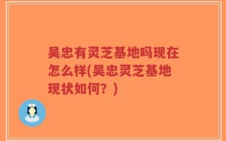 吴忠有灵芝基地吗现在怎么样(吴忠灵芝基地现状如何？)