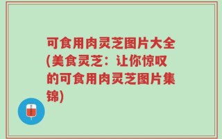 可食用肉灵芝图片大全(美食灵芝：让你惊叹的可食用肉灵芝图片集锦)