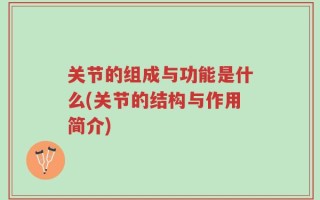 关节的组成与功能是什么(关节的结构与作用简介)