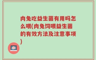 肉兔吃益生菌有用吗怎么喂(肉兔饲喂益生菌的有效方法及注意事项)