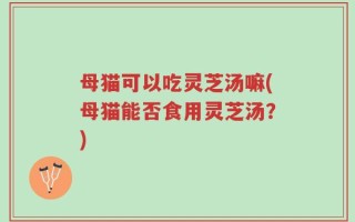 母猫可以吃灵芝汤嘛(母猫能否食用灵芝汤？)