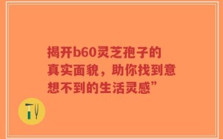 揭开b60灵芝孢子的真实面貌，助你找到意想不到的生活灵感”