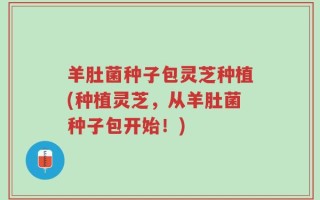羊肚菌种子包灵芝种植(种植灵芝，从羊肚菌种子包开始！)