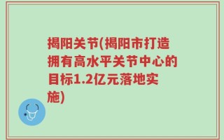 揭阳关节(揭阳市打造拥有高水平关节中心的目标1.2亿元落地实施)