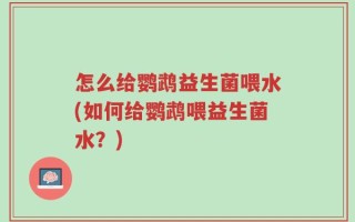 怎么给鹦鹉益生菌喂水(如何给鹦鹉喂益生菌水？)