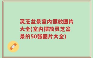 灵芝盆景室内摆放图片大全(室内摆放灵芝盆景的50张图片大全)
